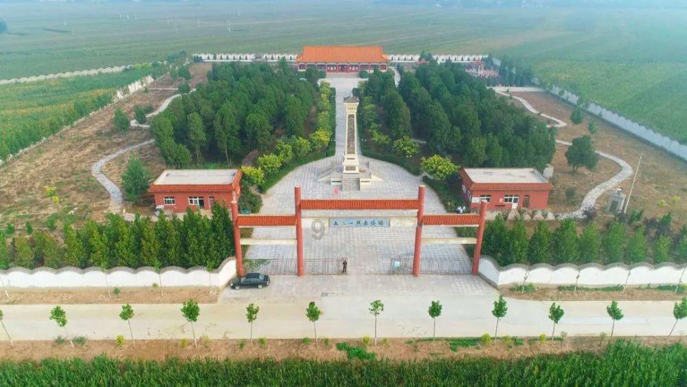 惊喜！“国宝”中华秋沙鸭现身湖南保靖酉水国家湿地公园