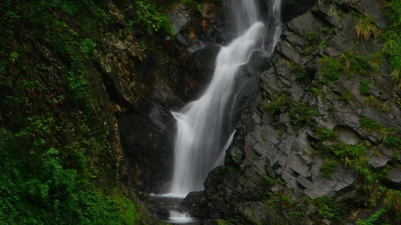 应急在线 | 低温雨雪冰冻天气 温州鹿城多措并举做好应急护航